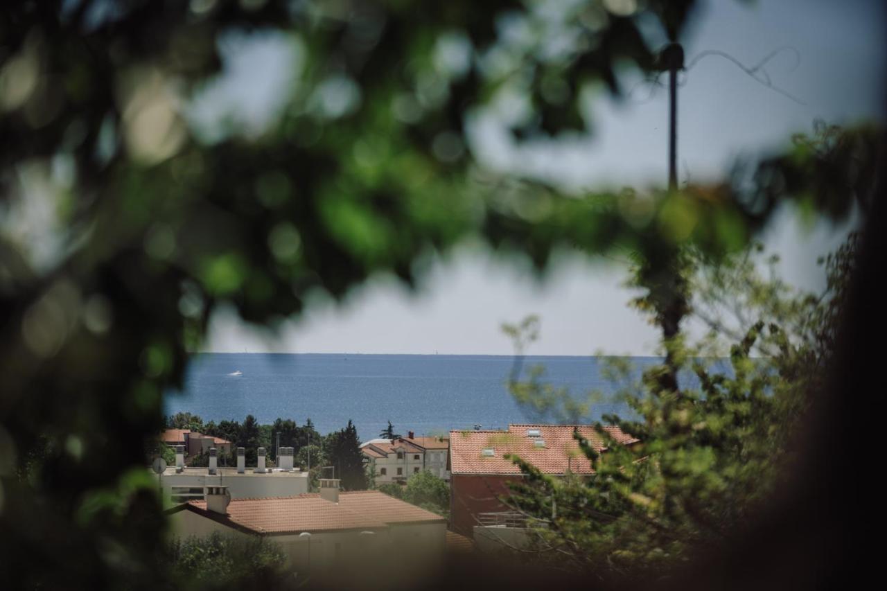 Belvedere Holidays Novigrad Istria 外观 照片